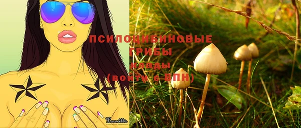 тгк Михайловка