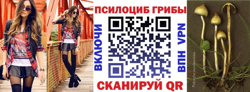 наркошоп Питкяранта Псилоцибиновые грибы ЛСД